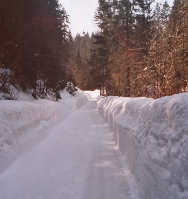 Verschneiter Waldweg zwischen hohen Schneewänden